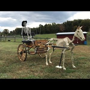 Meet your Posher, Kathleen